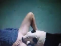 Addicted slut gives her pussy to the dog and gets it properly licked by the beast